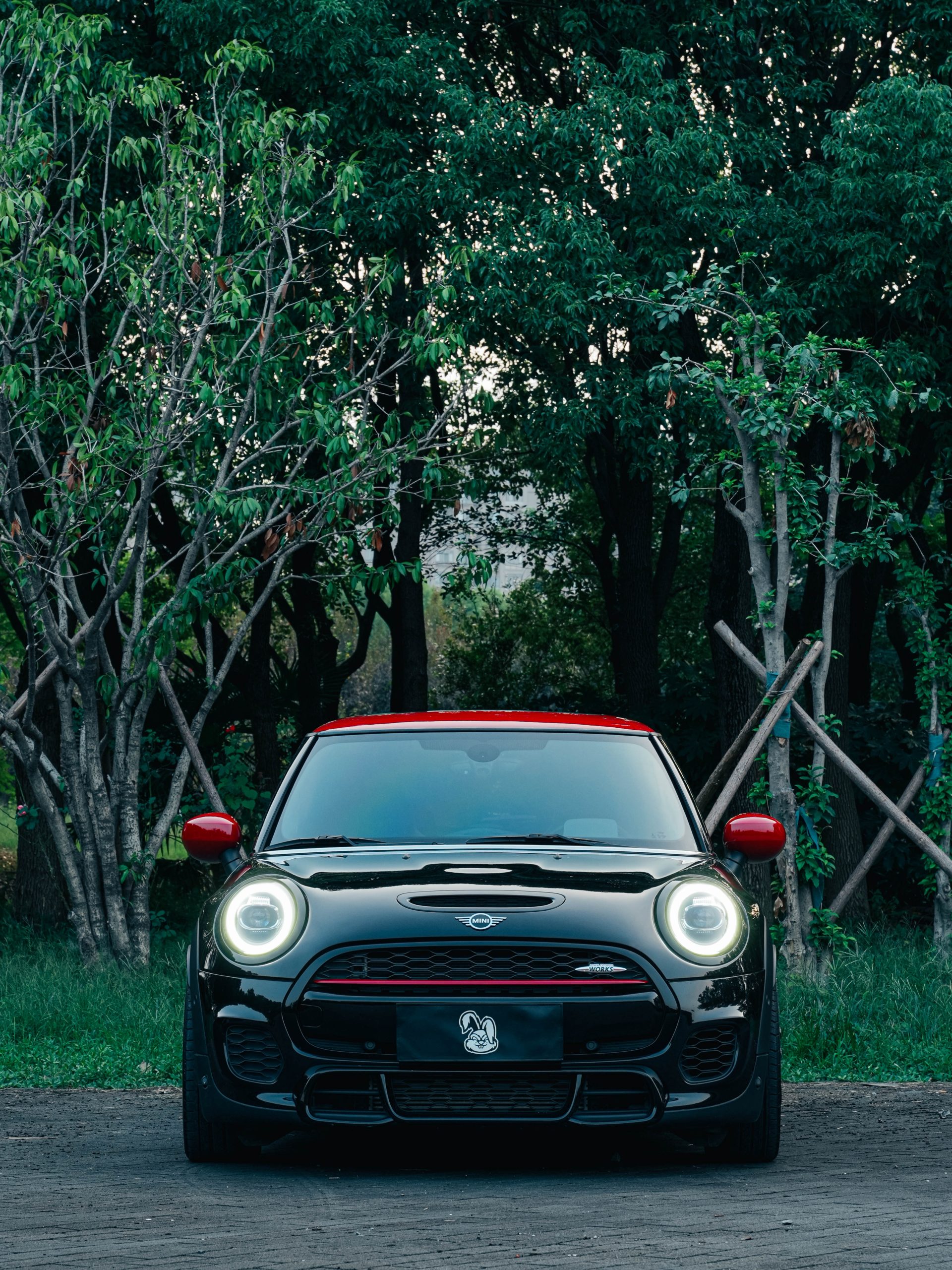 MINI JCW photo 2