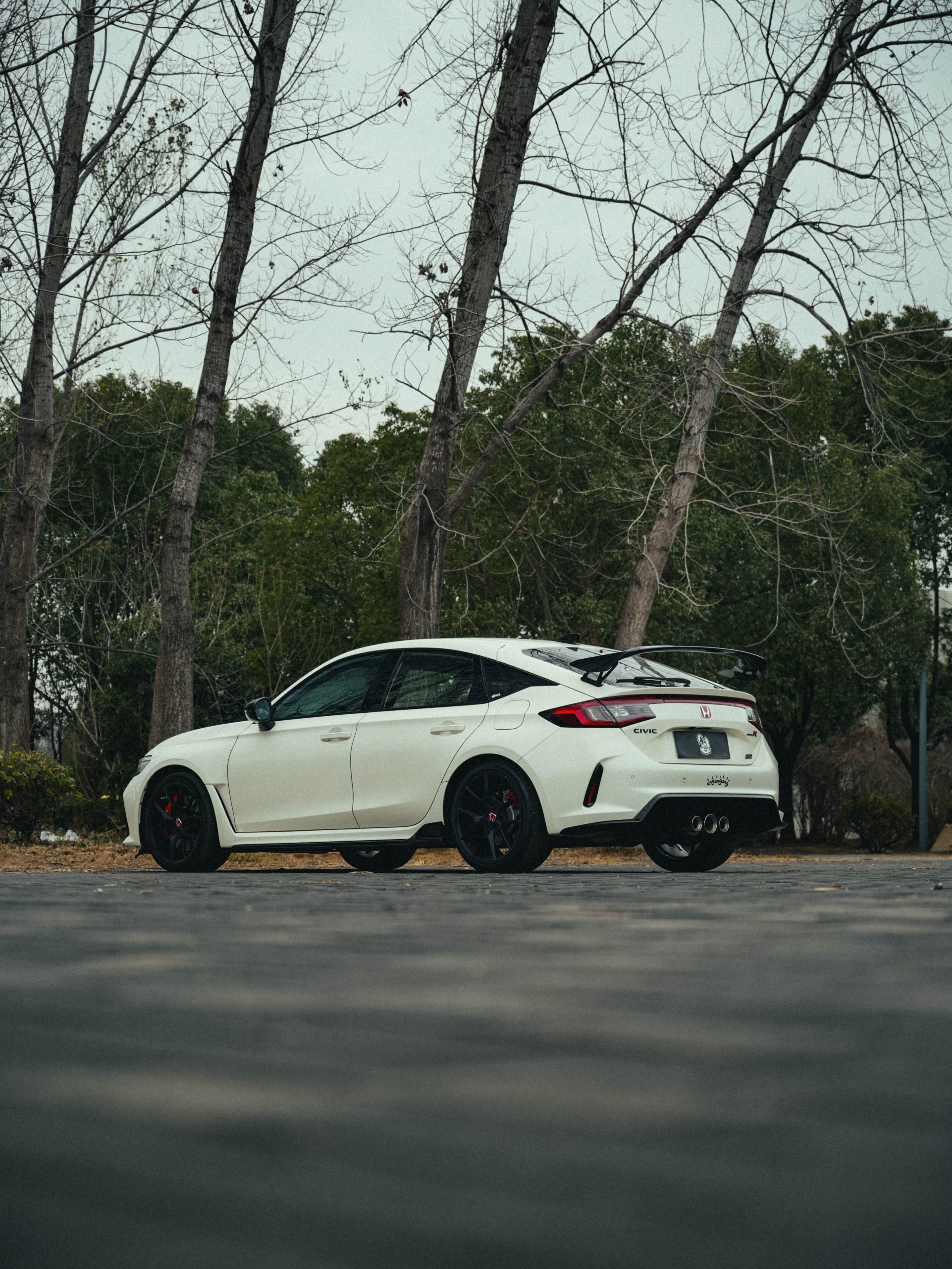 Honda Civic Type-R photo 8