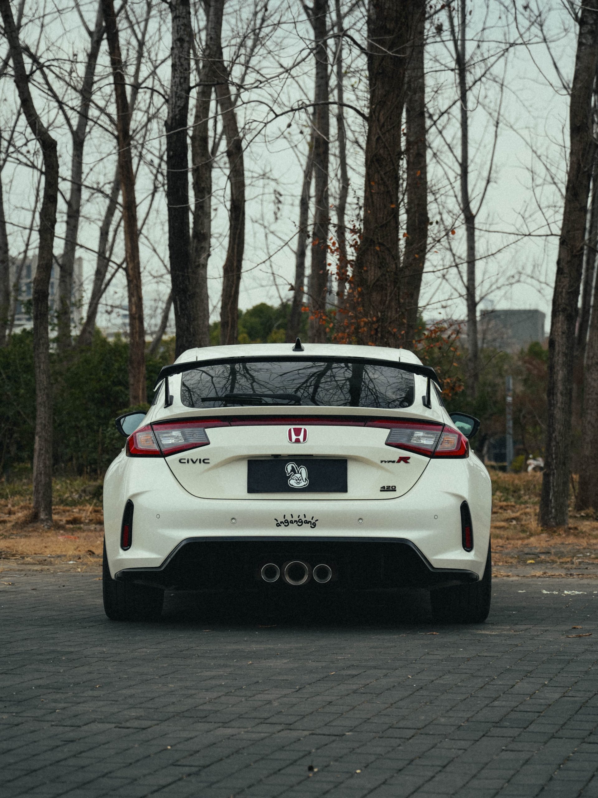 Honda Civic Type-R photo 9