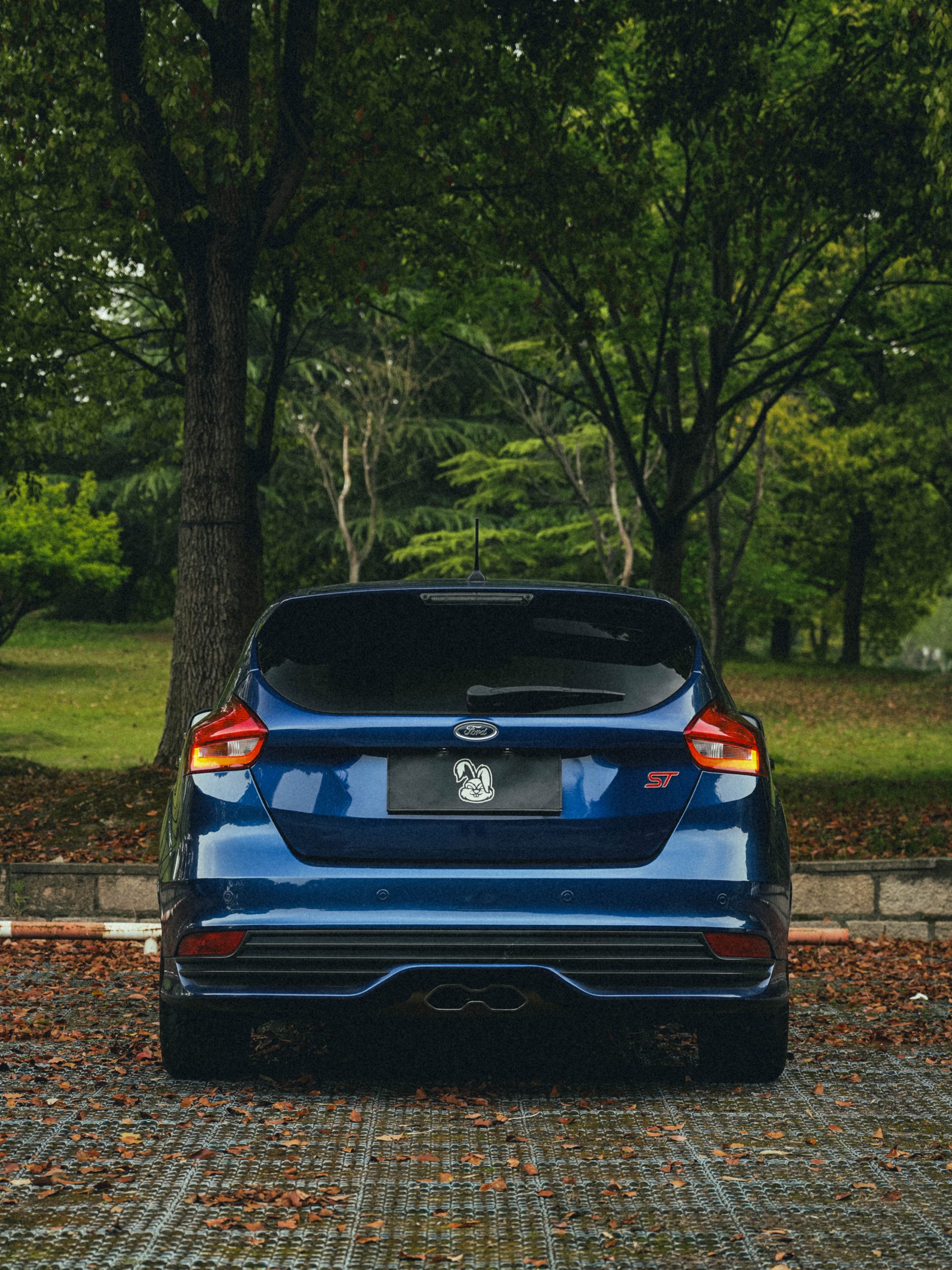 Ford Focus ST photo 2