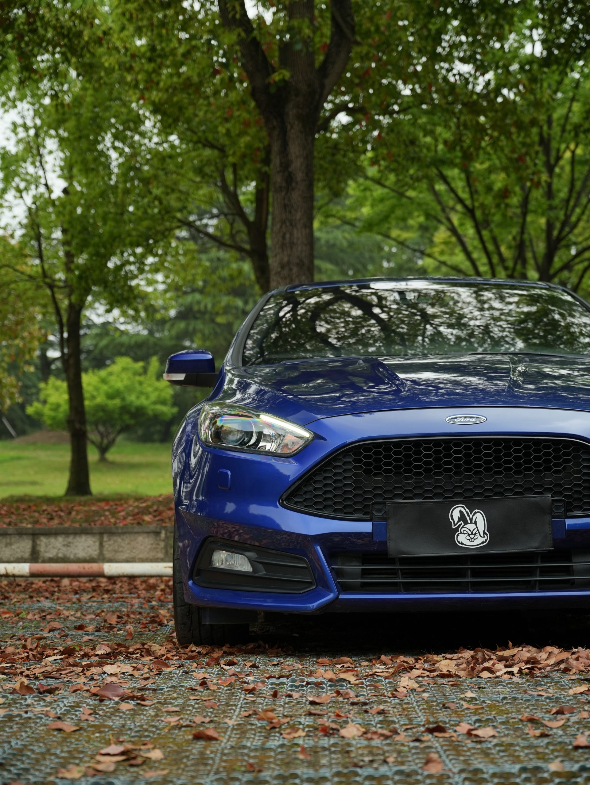 Ford Focus ST photo 13