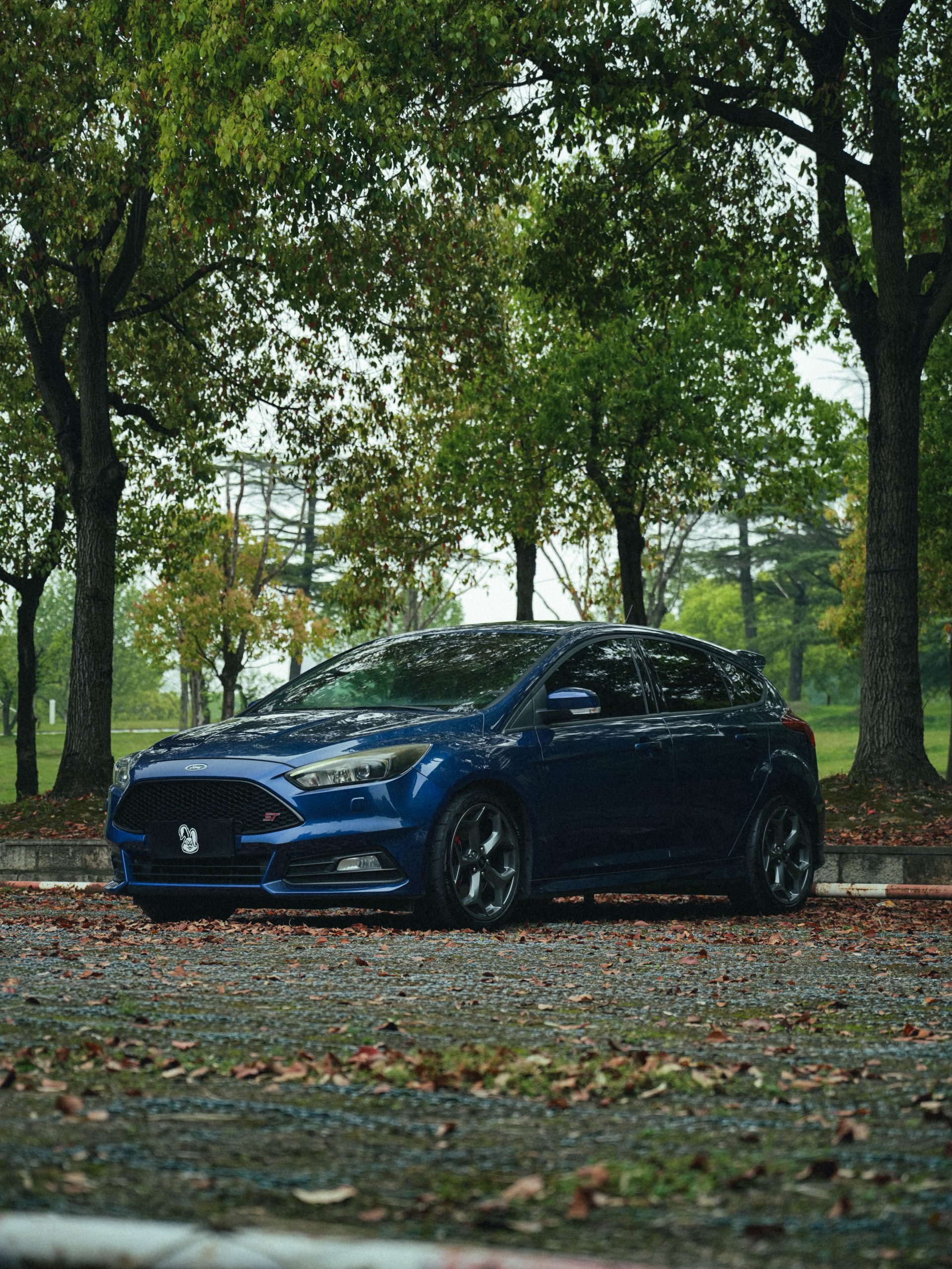 Ford Focus ST photo 14
