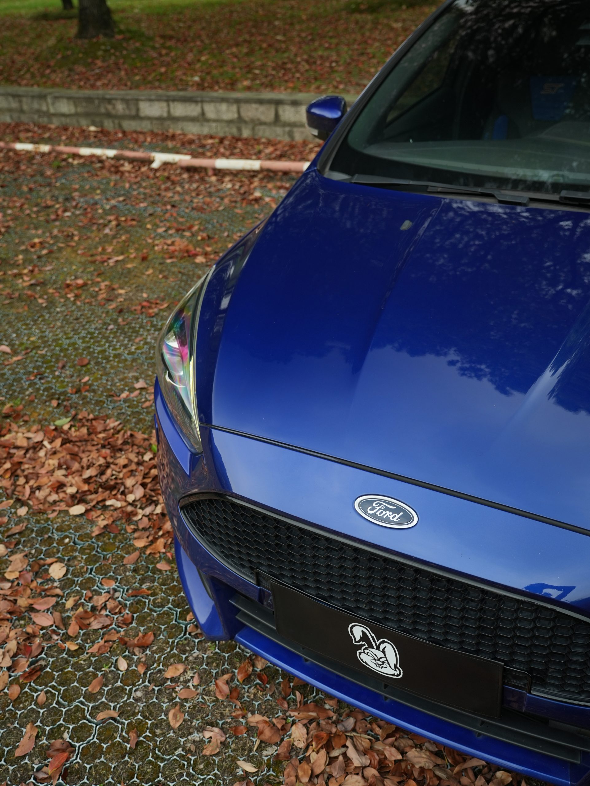 Ford Focus ST photo 15