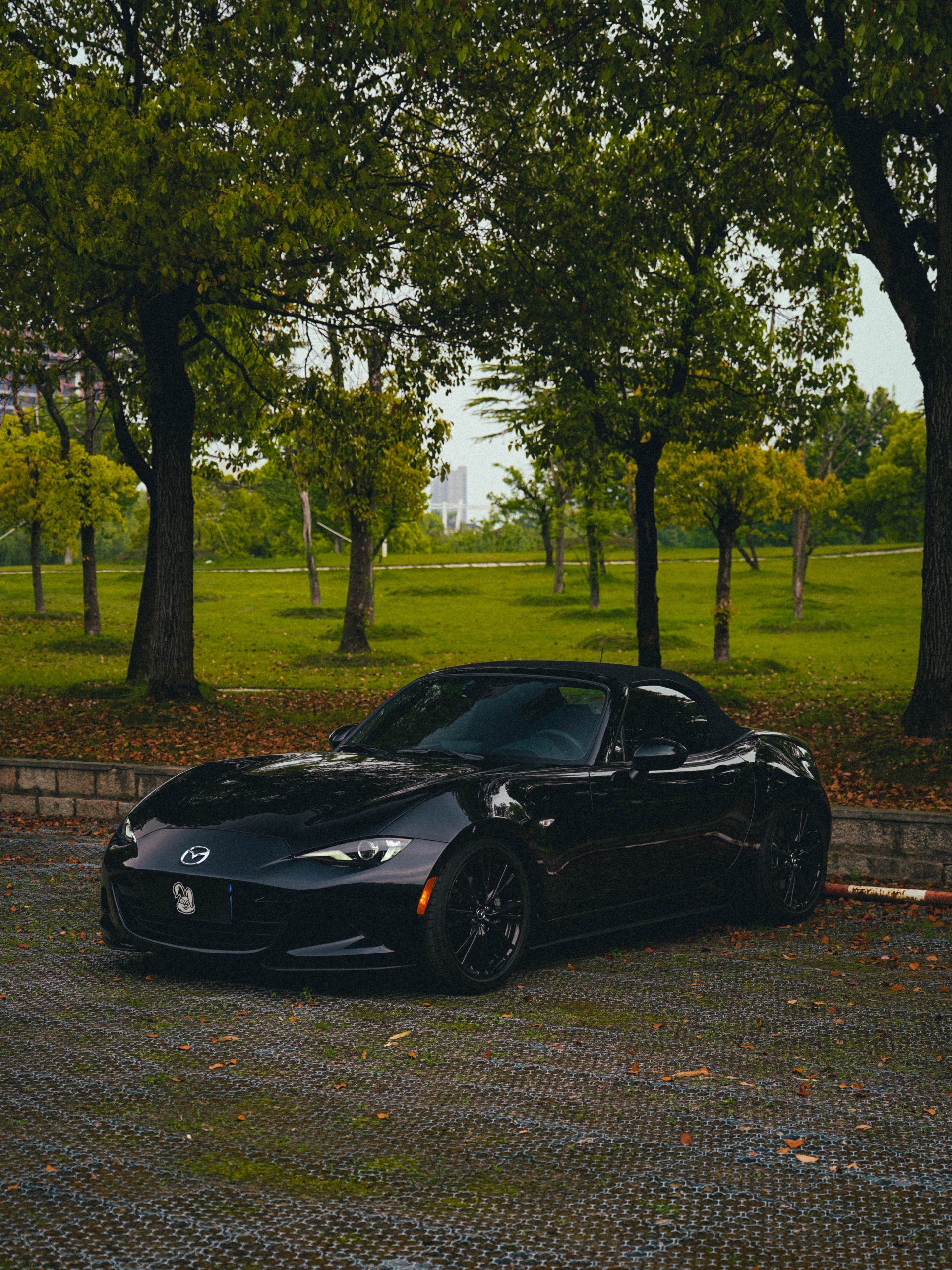 MAZDA MX-5 photo 2