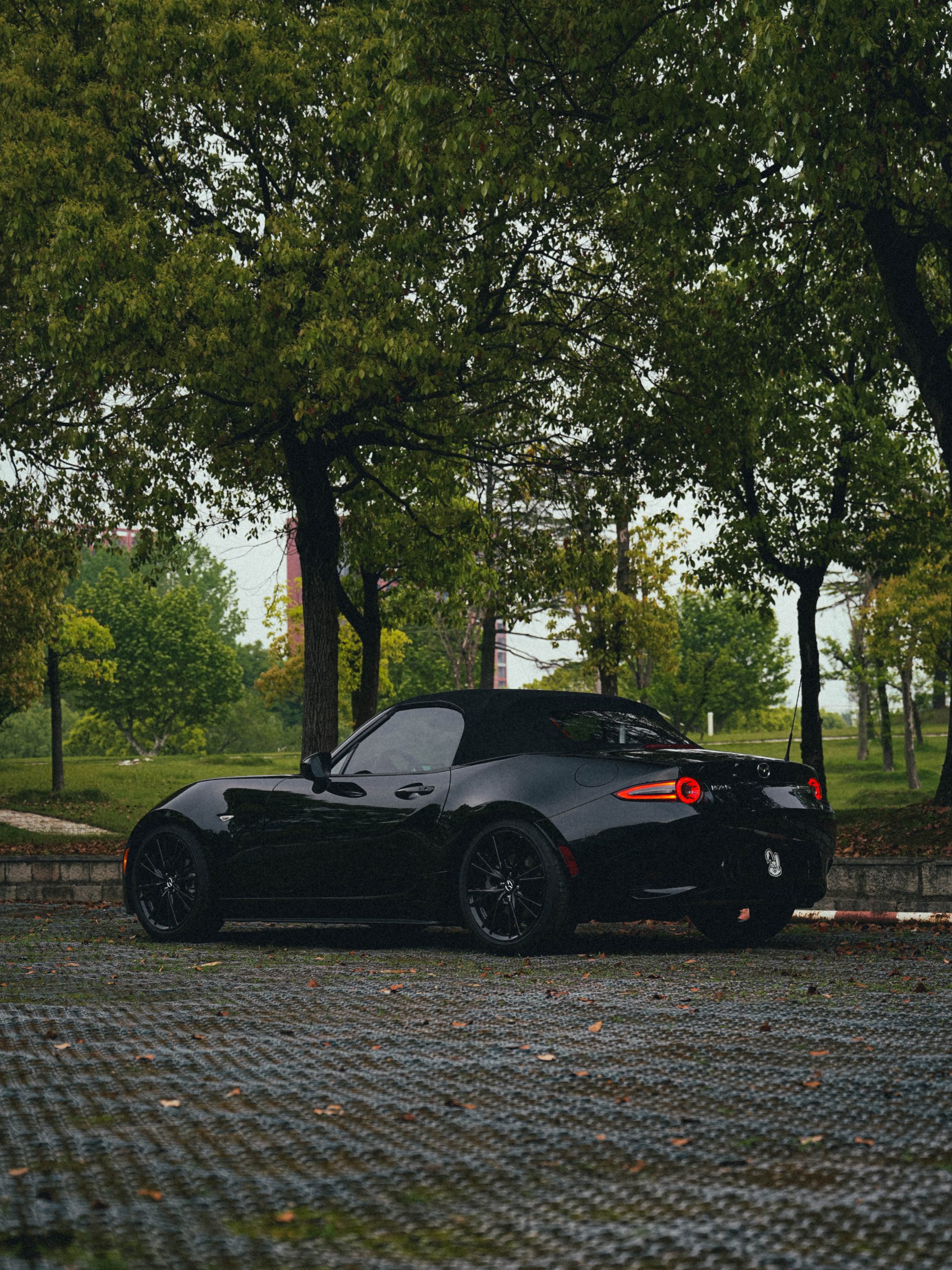 MAZDA MX-5 photo 7